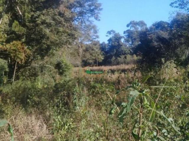 Imoveis em Belo Vale