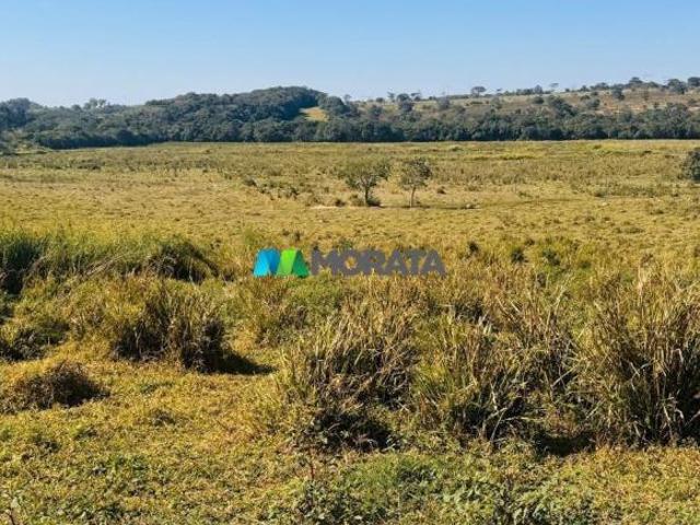 Imoveis em Bom Despacho