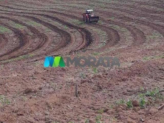 Imoveis em Carmo da Mata