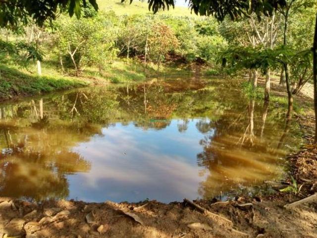 Imoveis em Carmópolis de Minas