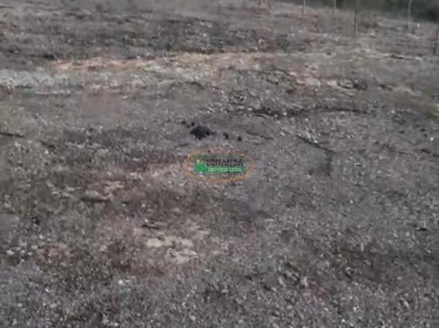 Imoveis em Catauá