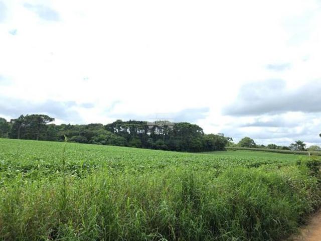 Imoveis em Colônia Murici