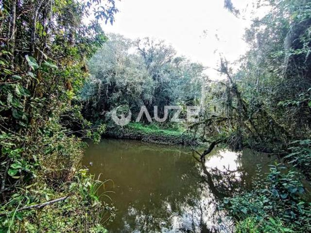 Imoveis em Colônia Murici