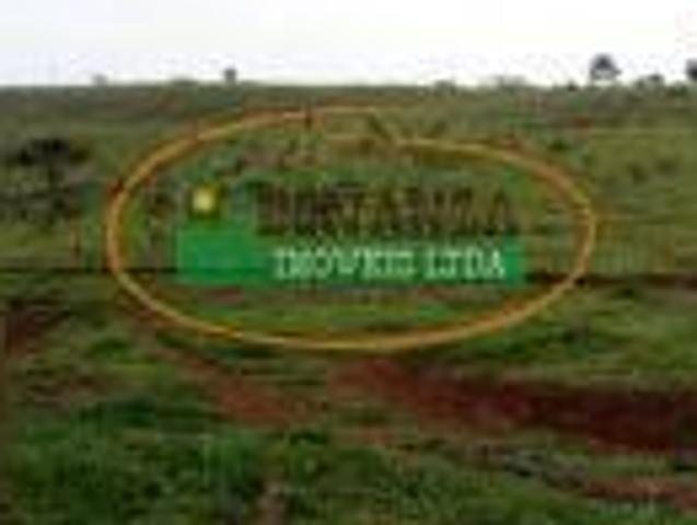 Imoveis em Itaverava