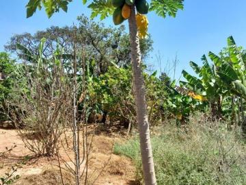 Sorocaba, São Paulo