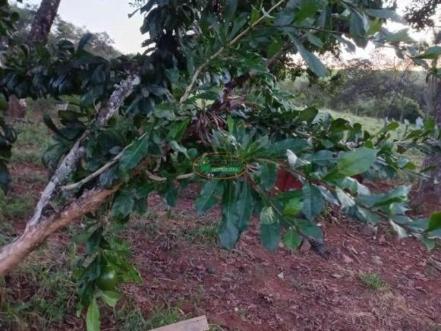 Imoveis em Lagoa Dourada