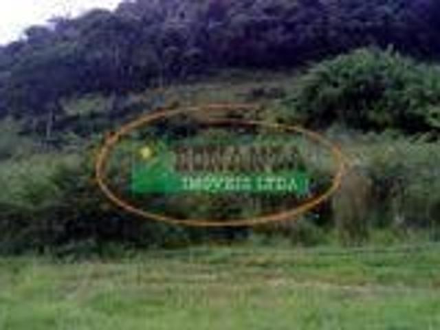 Imoveis em Lamim