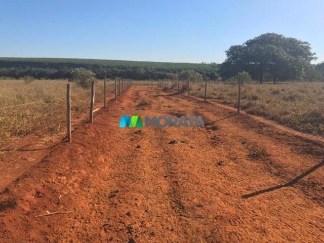 Imoveis em Paraopeba
