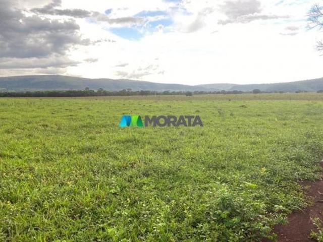 Imoveis em Paraopeba