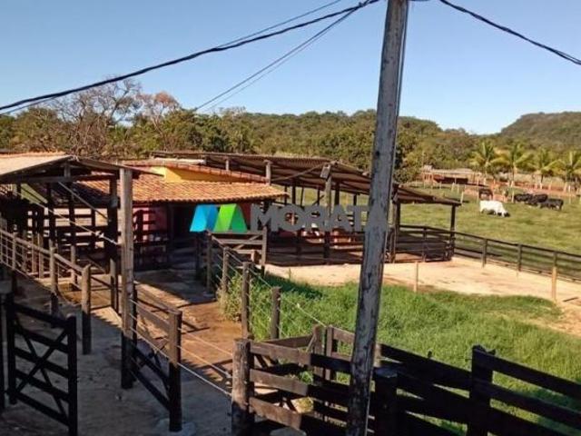 Imoveis em Paraopeba