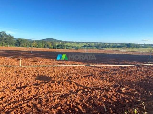 Imoveis em Paraopeba
