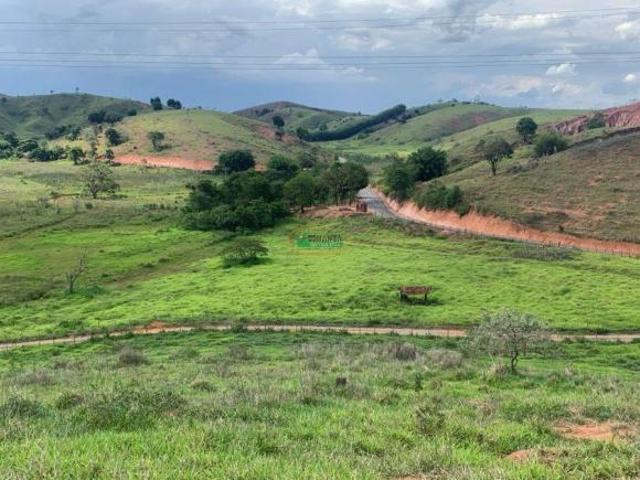 Imoveis em Periquito
