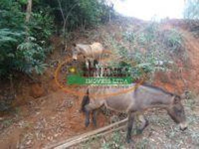 Imoveis em Piranga