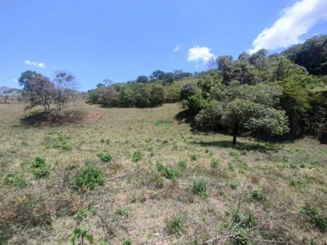 Imoveis Em Queluzita