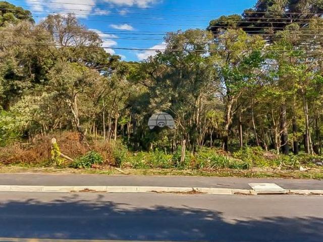 Imoveis em Roça Grande