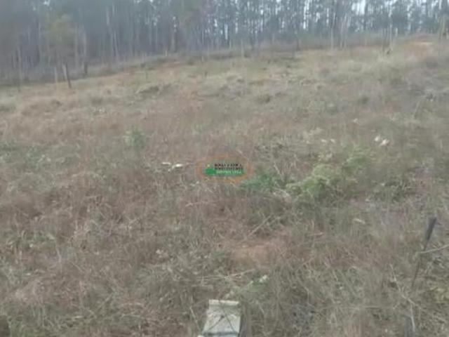Imoveis em São Brás do Suaçuí