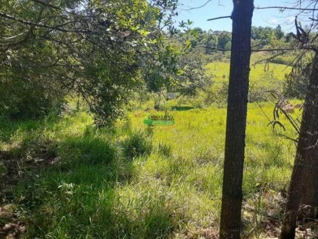 Imoveis em São Brás do Suaçuí