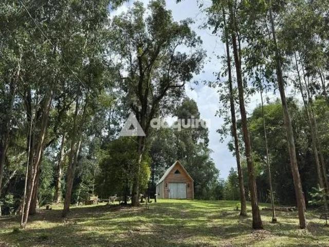 Imoveis em São João do Triunfo