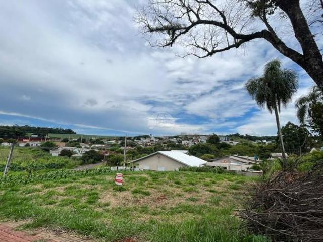 Imoveis em São Luiz