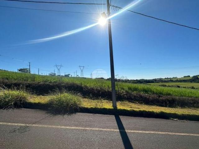 Imoveis em São Luiz