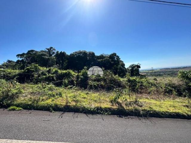 Imoveis em São Luiz
