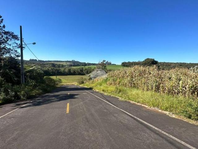Imoveis em São Luiz