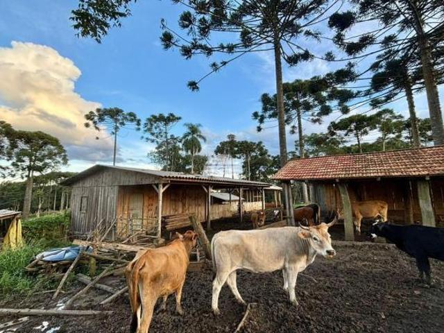 Imoveis em São Mateus do Sul