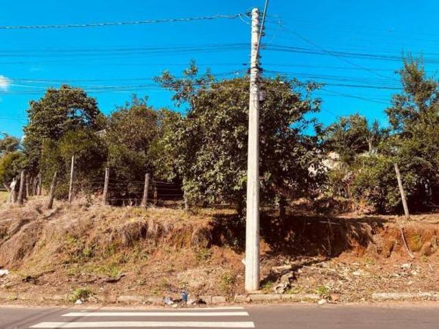 Imoveis em Scharlau