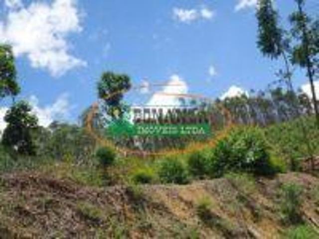 Imoveis em Senhora de Oliveira