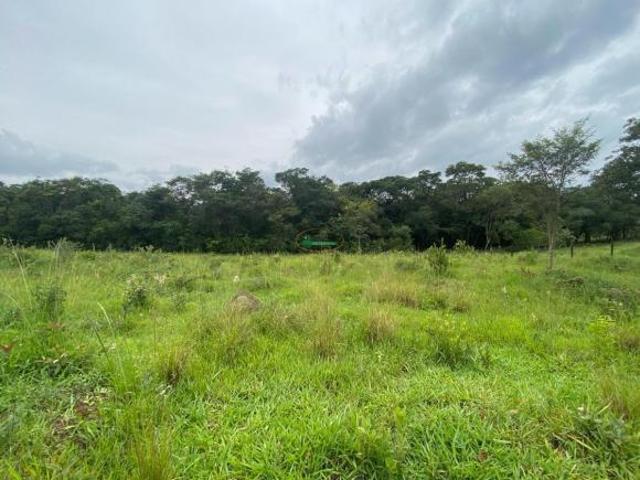 Imoveis em Village Park Real