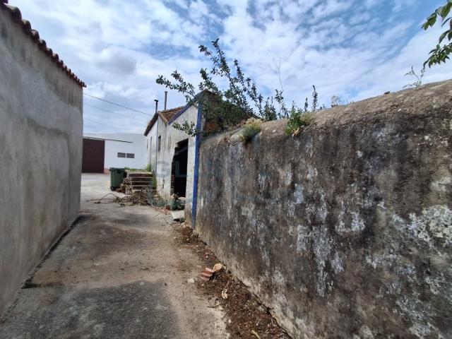 Imóvel com 1.300 m² de Terreno Antigo Lagar no Concelho de Torres Novas