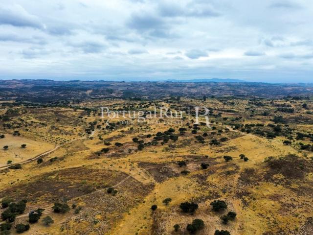 Propriedade Rural composta por 3 parcelas 2 herdades + casa