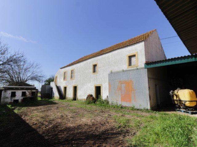 Imóvel agrícola de 6.438 m2 com casa, vista e muito sol 273m² Santarém Marvila, Santa Iria da Ribeira de Santarém, Santa