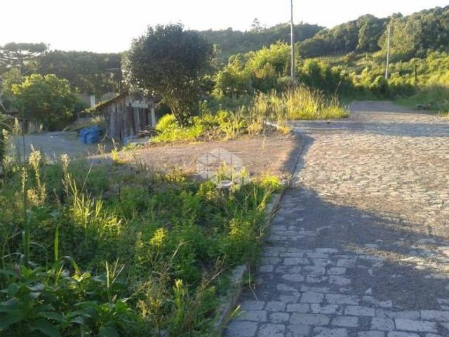 Imóvel de 2,5 Hectares em Caxias do Sul