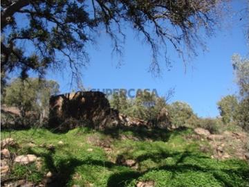 Santa Catarina da Fonte do Bispo, Concelho de Tavira, Distrito de Faro, Algarve