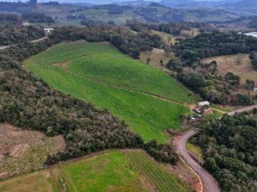 Praça Rui Barbosa, Curitiba
