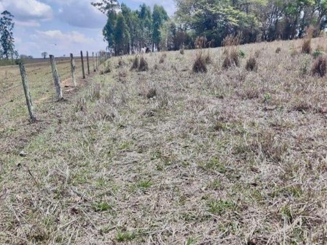 Imóvel rural com 4,75 Alqueires, Porangaba SP