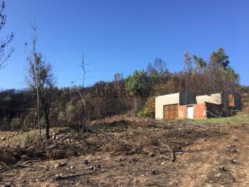 Imóvel Rural em Sertã