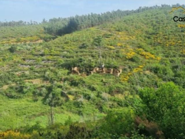 Imóvel Rural T1