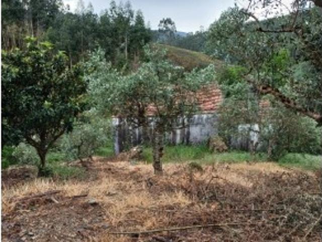 Imóvel Rural T2