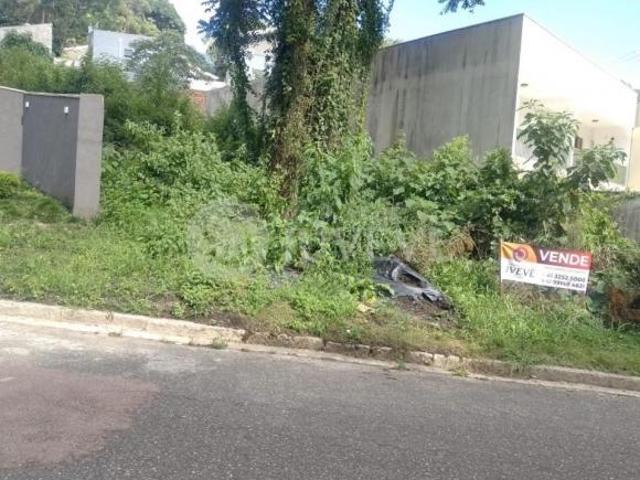 IMOBILIÁRIA JUVEVÊ VENDE EXCELENTE TERRENO ZR 2 BARREIRINHA RUA ALTEVIR BAPTISTA DE LARA,88