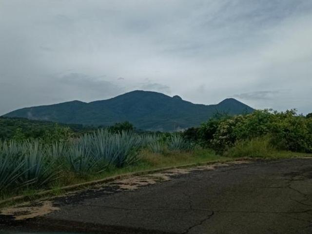 Imagina despertar rodeado de bosque, aire puro y tranquilidad
