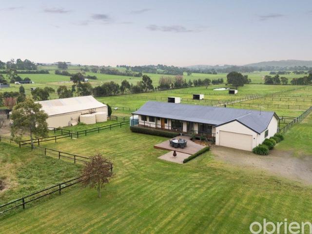 Imagine a Beautifully Established Hobby Farm with Exceptional Equestrian Facilities. Can you picture it?