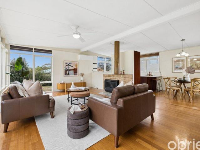 Imagine a Home with Real Personality. Can You Picture It?