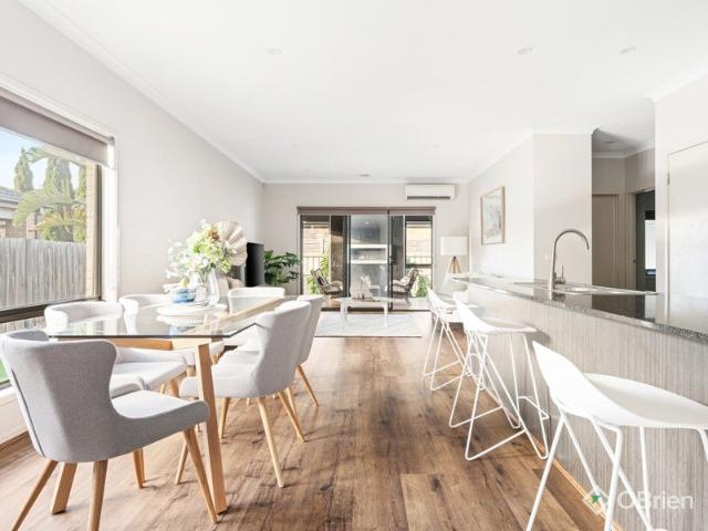 Imagine Room For The Family To Grow, Can You Picture It?