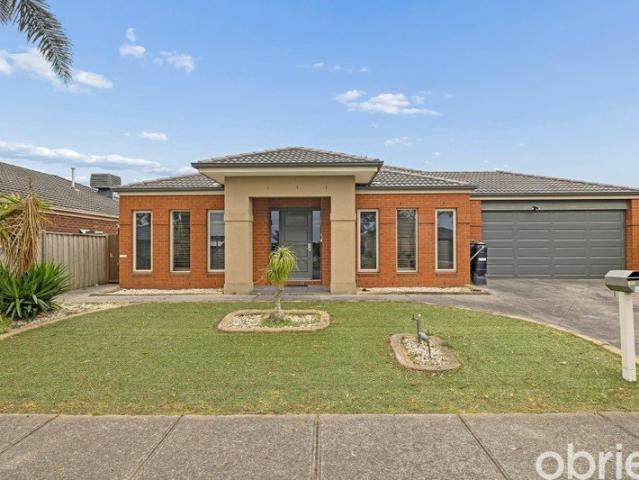 Imagine Room to live, work and entertain can you picture it?