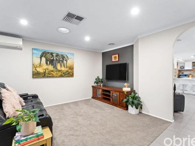 Imagine Stylish Timbarra Living. Can You Picture It?