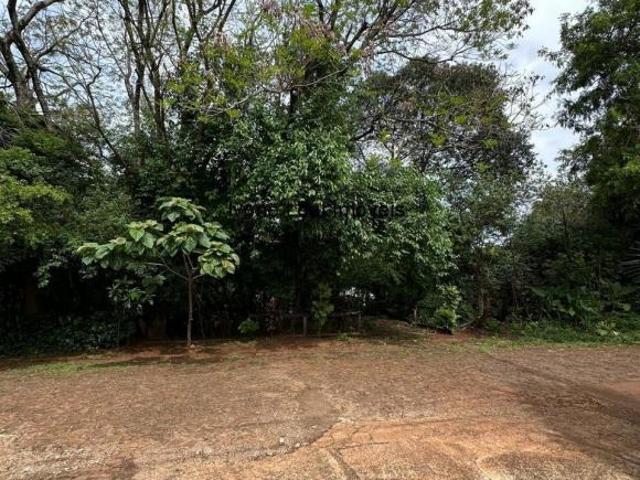 Impecável residência de 3 quartos com 2 suítes em Santo Ângelo RS, bairro Menezes: 2 salas, 3 banhei