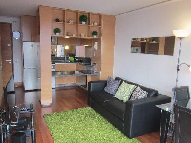 Impecable Departamento Providencia