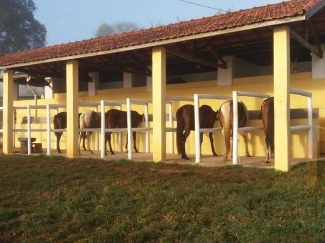 Imperdível fazenda de luxo em Conceição dos Ouros MG: 4 quartos, 4 suítes, 3 salas, 4 banheiros, 4 v